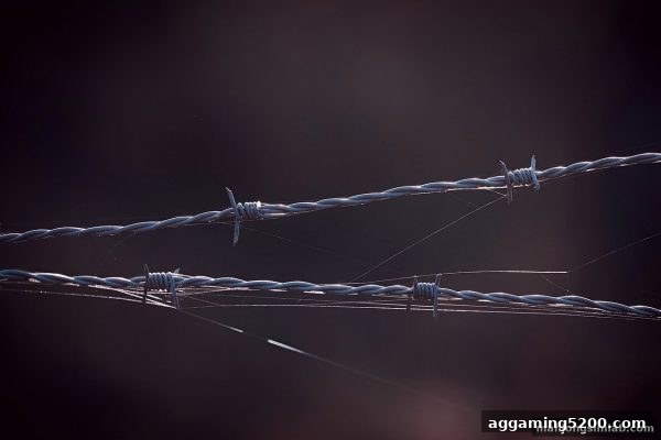 沙巴体育资金安全保障指南：从麻将胡了模拟器在线试玩看平台风控